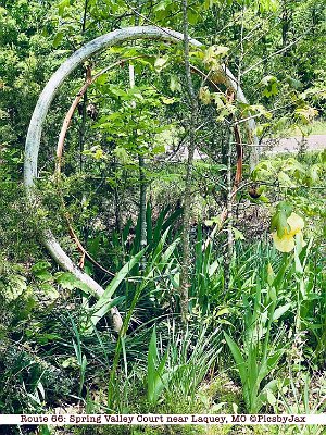 2020-05 Spring Valley Court by Pics by Jax (1)