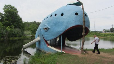 2013-06-19 Blue whale (41)