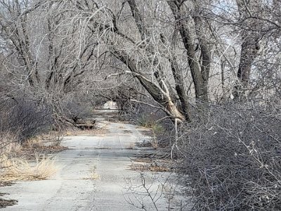 2022-01 Hext by Dale Lakin (2)