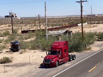 2022-01 Yucca by David McElyea 3
